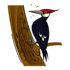 No drill light filtering roller blinds Birds in the wood Woodpecker forest bird