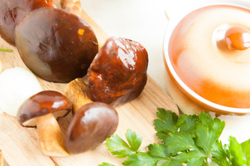 Ripe white mushrooms are ready for use