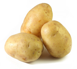 Potato