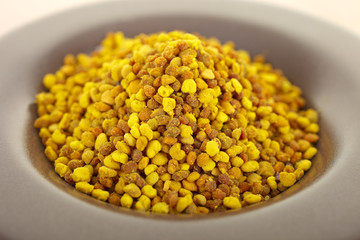 Blütenpollen