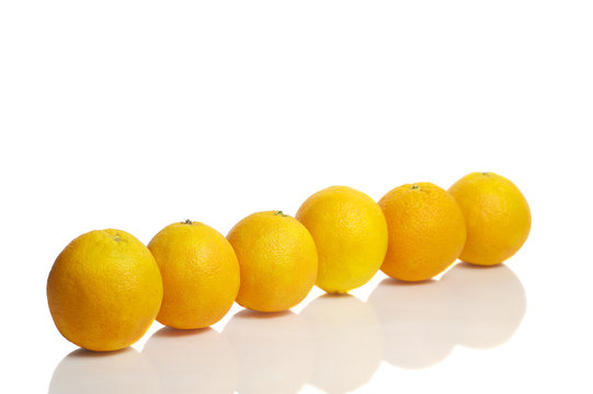 Line of oranges