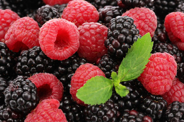 background of beautiful berries with leaves