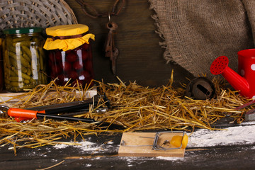 Fototapeta na wymiar Pułapka na myszy z kawałkiem sera w stodole na drewnianym tle