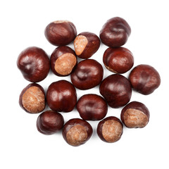 Obraz premium Conkers