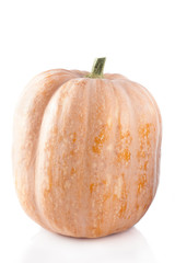 raw pumpkin isolated