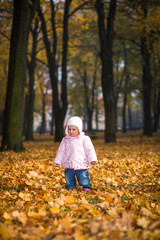 Infant baby girl in golden autumn park