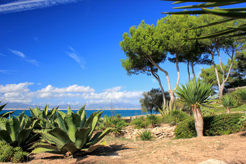 Südküste Mallorca