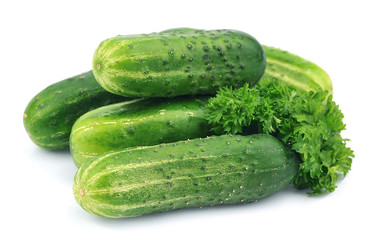 Fresh cucumber with parsley