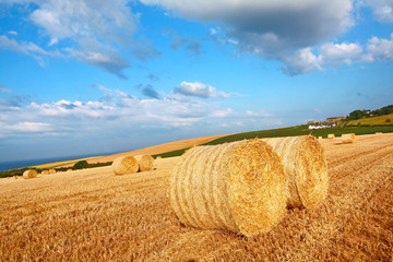 Beautiful landscape with hay bales, Scotland