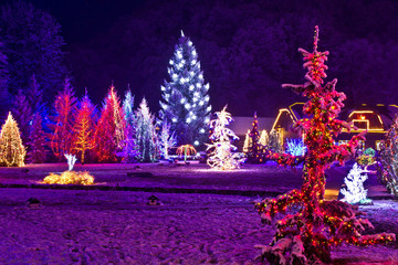 Christmas fantasy - park & forest in xmas lights
