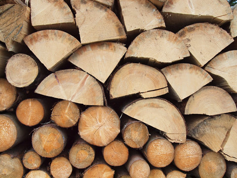 Stacked firewood
