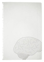 Brain paper background