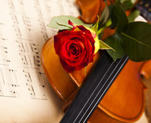 Violin and rose