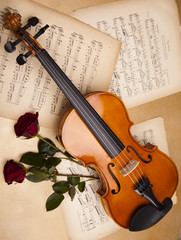 Fototapeta premium Violin and rose