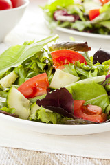 Fresh Green Organic Garden Salad