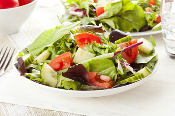 Fresh Green Organic Garden Salad