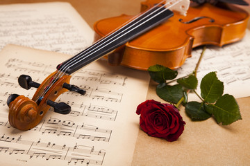 Naklejka premium Violin and rose