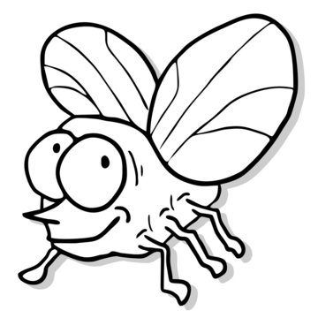 Funny fly design