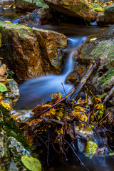 Autumn Creek