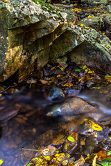 Small Creek in Autumn
