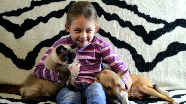 little girl gently hugs and pats a kitten and puppy
