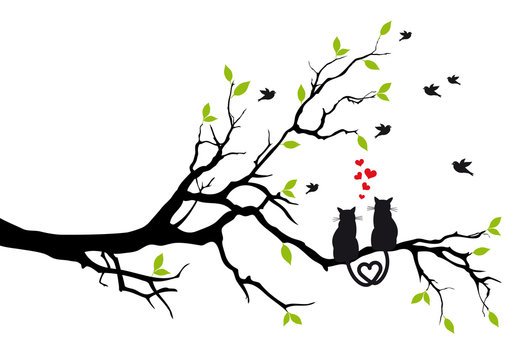 cats in love on tree branch, vector