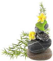 composition zen