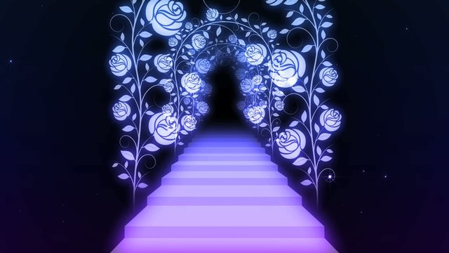 薔薇の道と階段