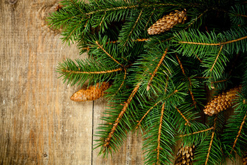 Naklejka premium christmas fir tree with pinecones