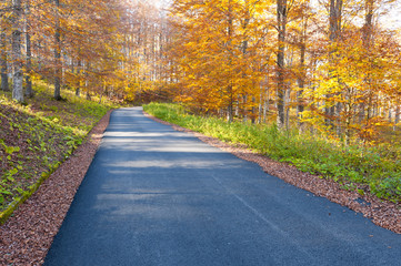 strada del cansiglio 2610