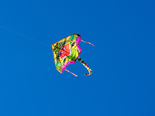 Dragon kite