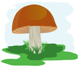 Mushroom on glade