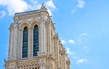 Fototapeta premium Notre-Dame de Paris