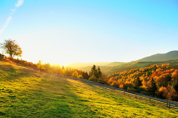 Autumn landscape