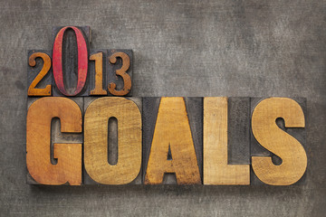 2013 goals