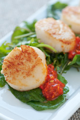 Seared Scallop Appetizer