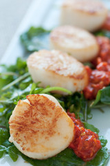 Seared Scallop Appetizer