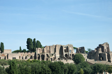 Fototapeta na wymiar Circus Maximus - Rzym