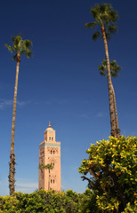 Minaret in Marrakech with  the palm trees