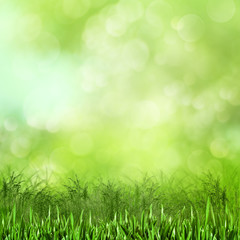 Meadow. Abstract natural backgrounds for your design