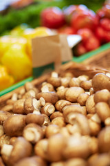 Champignons im Supermarkt