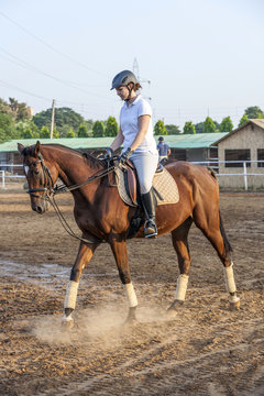 Woman Riding Her Horse In The Parcour