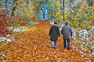 wald spaziergang pension