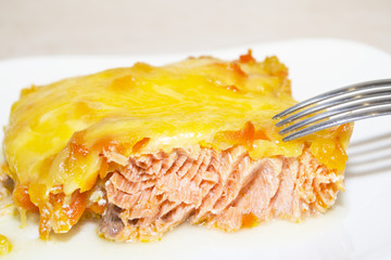 close up tasty salmon and cheese