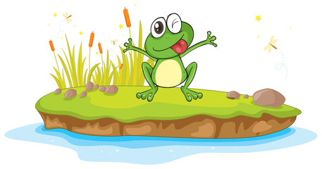 Obraz premium a frog and a water