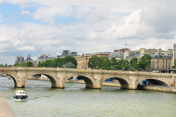 Fototapeta na wymiar Most na Sekwanie. Paryż. Francja