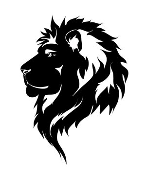 Graphic lion, black and white drawing for tattoo.