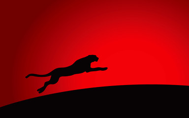 Leopard running © dpck