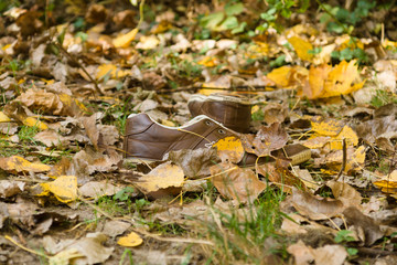 Abandoned shoes in fallen leaves.