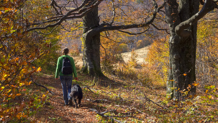 A walk with a friend